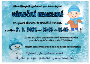 lidé bruslící na zimním stadionu