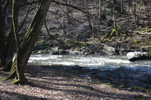 2015 – březen – příroda kolem Březníka